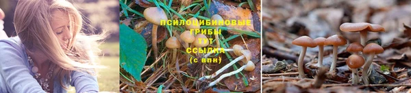 ECSTASY Елабуга