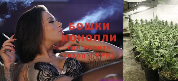 ECSTASY Елабуга