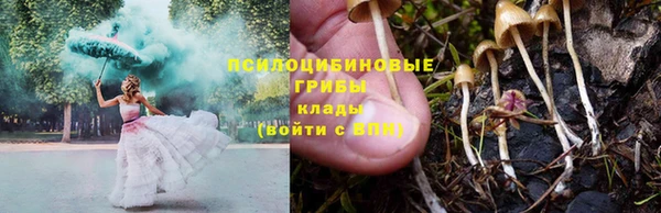 мяу мяу мука Ельня