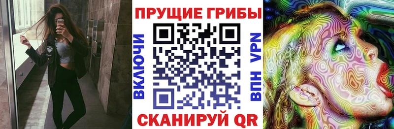 Купить  Нурлат  Галлюциногенные грибы мухоморы 
